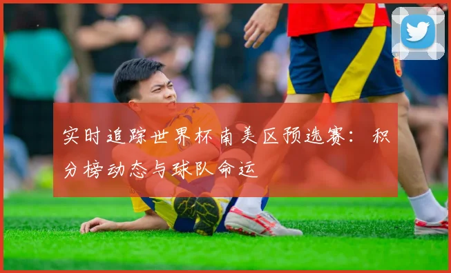实时追踪世界杯南美区预选赛：积分榜动态与球队命运