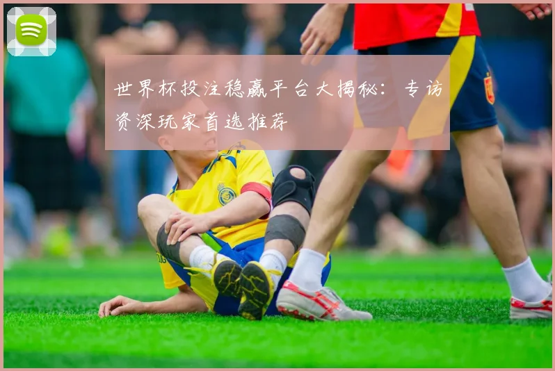 世界杯投注稳赢平台大揭秘：专访资深玩家首选推荐