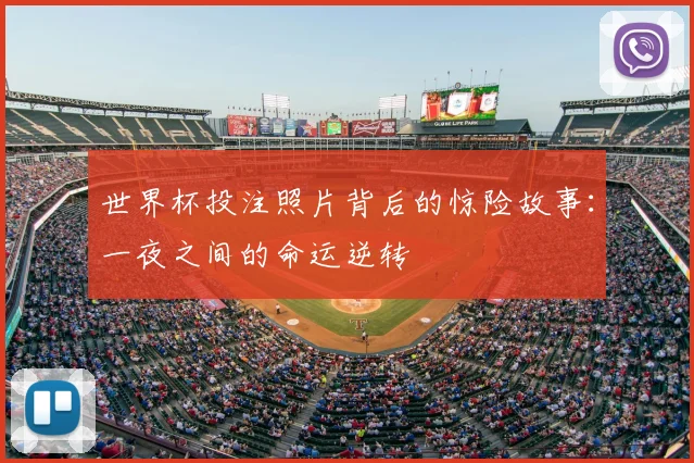 世界杯投注照片背后的惊险故事：一夜之间的命运逆转