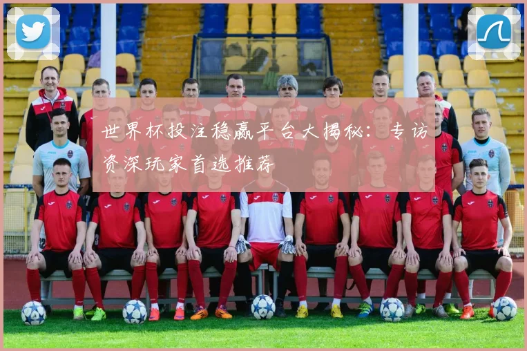 世界杯投注稳赢平台大揭秘：专访资深玩家首选推荐