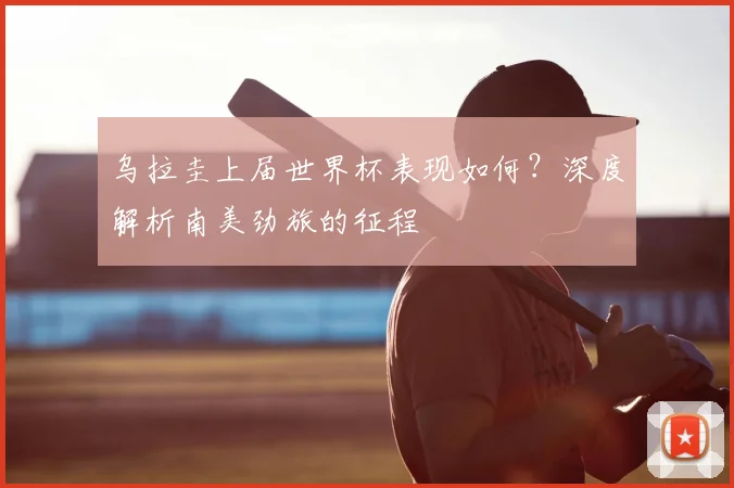 乌拉圭上届世界杯表现如何?深度解析南美劲旅的征程